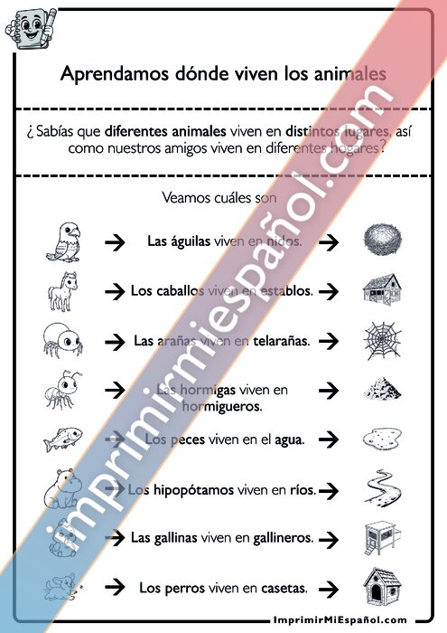 Para colorear