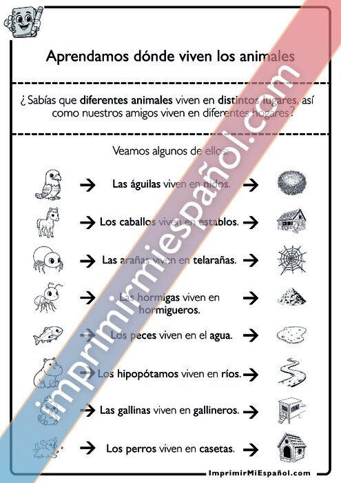 Para colorear