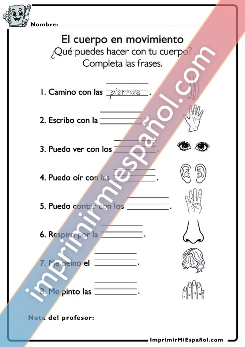 Para colorear