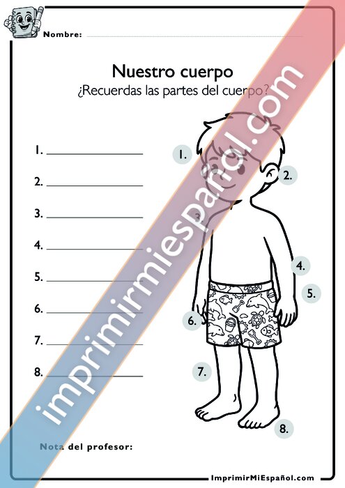 Para colorear