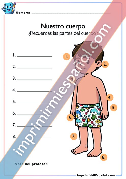 Nuestro cuerpo