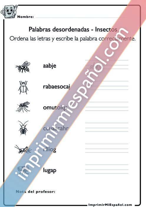Para colorear