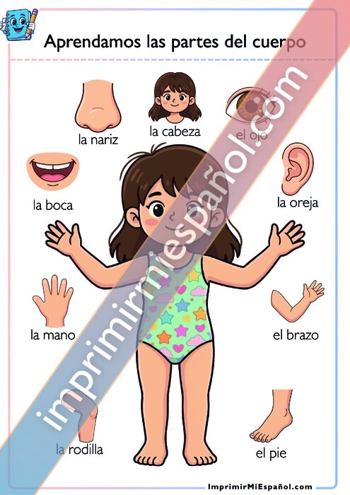 Aprendamos las partes del cuerpo - 1