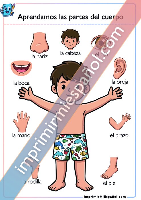 Aprendamos las partes del cuerpo - 2