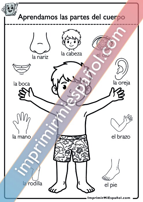 Para colorear