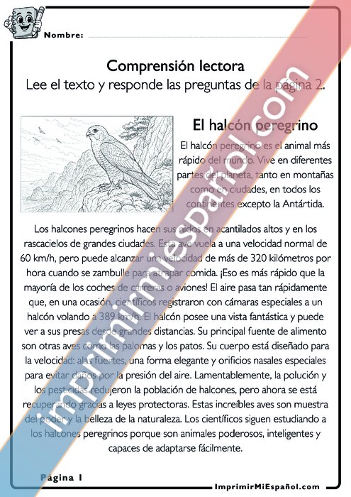 Para colorear