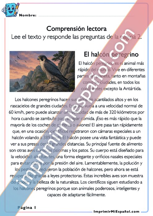 Comprensión lectora - El halcón peregrino
