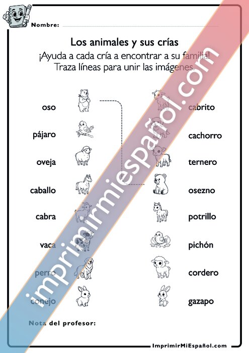 Para colorear
