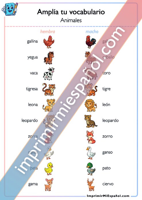 Amplía tu vocabulario - Animales