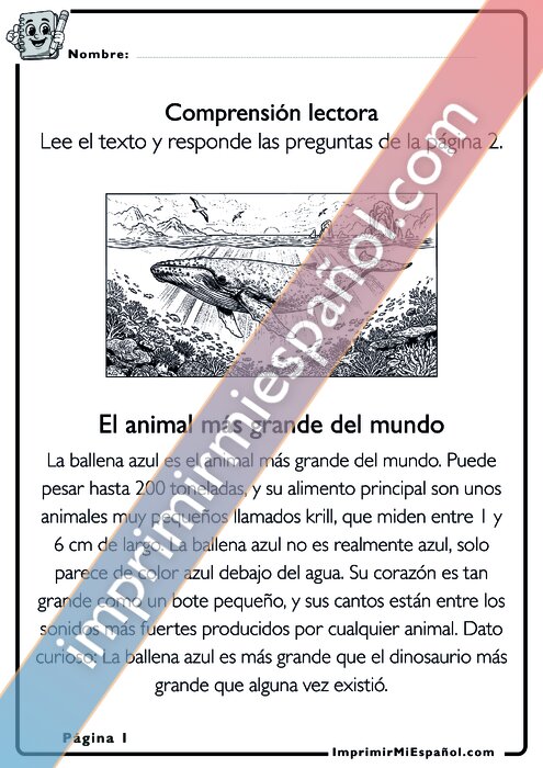 Para colorear