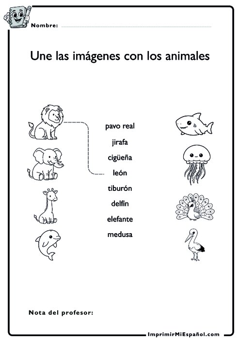 Para colorear